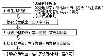 妇产科主治专业知识历年真题