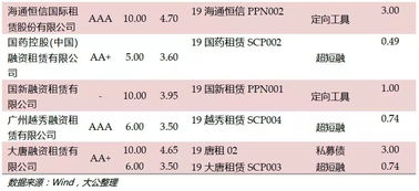 国新融资租赁有限公司怎么样？