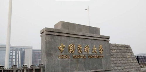 985 211医科大学名单？中国医科大学在哪个位置