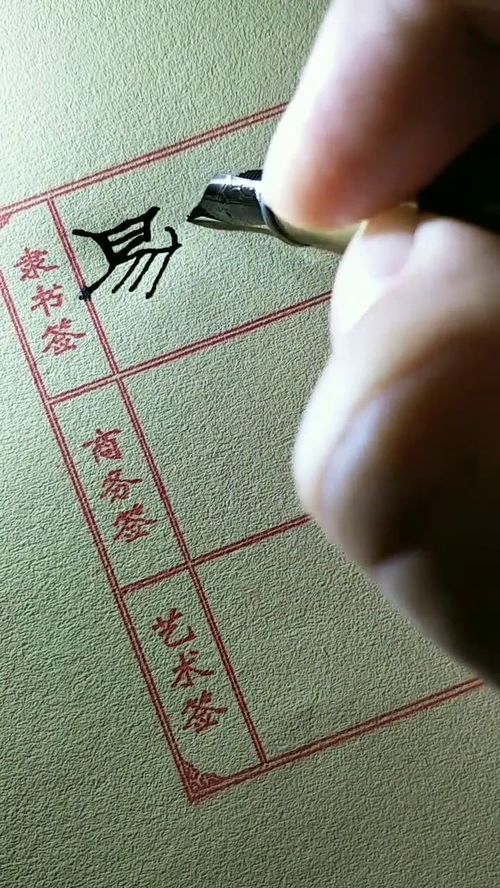 你的名字怎么写 