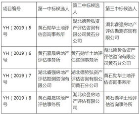 中标公告里面没有公示期？