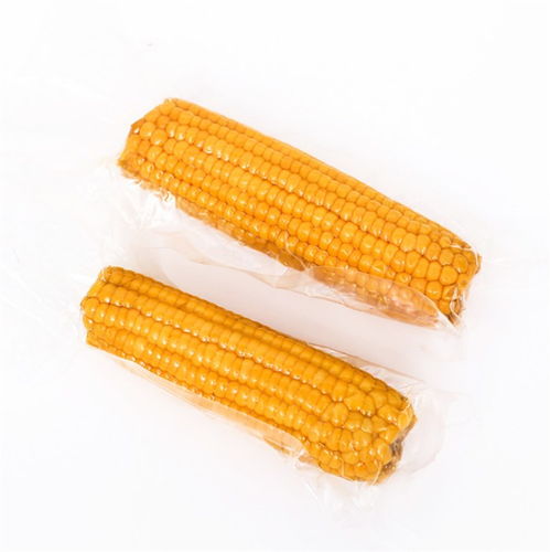 生产玉米塑料的上市公司有哪些？