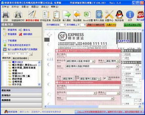 飚风快递单打印软件