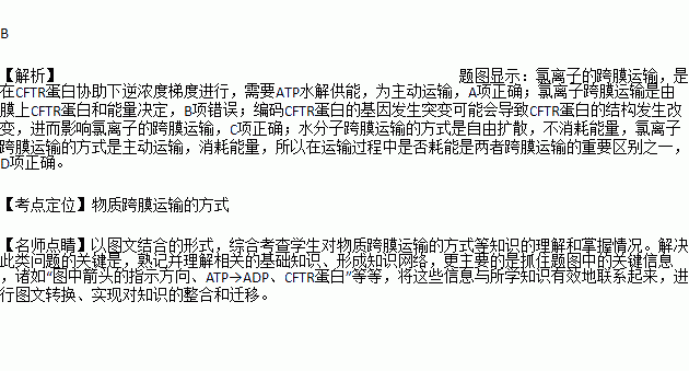 氯离子分析的步骤是什么？