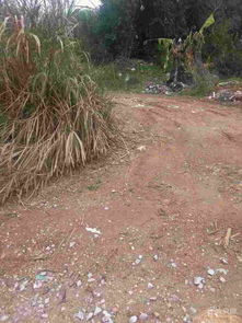 苔塘过梅岭2段未命名