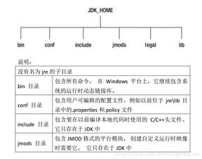 java新特性需要学吗(java前端开发需要学什么)