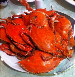 天津最有特色的海鲜餐厅TOP16