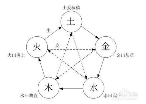 中医理论 五行学说 