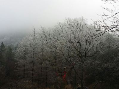 九华山普渡寺攻略,九华山普渡寺门票 游玩攻略 地址 图片 门票价格 