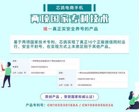 匿名版查重软件-保障学术诚信的秘密武器