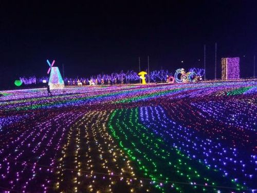 深圳海上田园今年有灯光节吗 