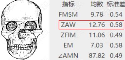 颧弓宽多少厘米算脸大,14cm是正常的吗