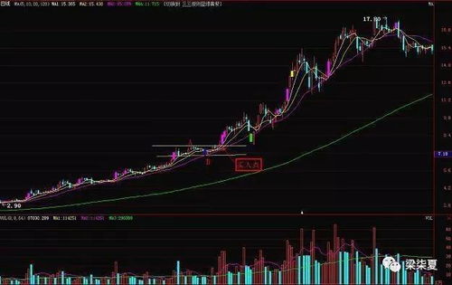 16.2元买入苏常柴A下周会解套吗能涨到多少?请高手指点!