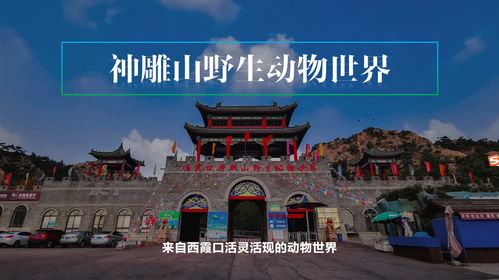 山东省五一更热门旅游城市