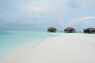 马尔代夫港丽岛风光一次浪漫的自然之旅（马尔代夫港湾）