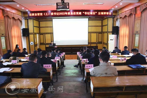 岳西县 大力实施基层党建 书记项目