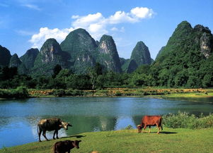 冬季一日游亲子游旅游好去处 11月12月份国内景点旅游推荐