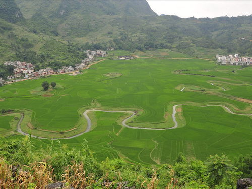 广西巴马瑶族自治县(巴马瑶族自治县有什么特产)