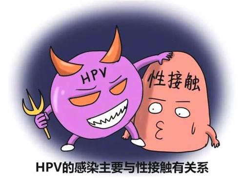 hpv16阳性怀孕如何治疗？