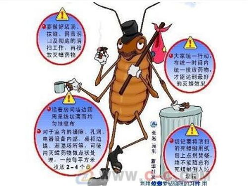 除蟑螂公司 有蟑螂要怎么除