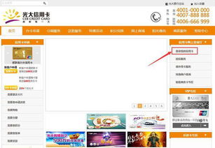 光大信用卡办理查询余额光大银行信用卡怎么查余额 