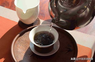 普洱茶为什么要洗茶洗茶要几次(普洱茶为啥要洗茶)