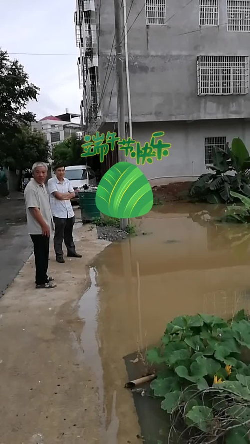 一夜暴雨,水把公路淹了,出不去了 