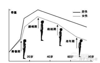 拥有好身材为什么不仅要健身还要健骨 