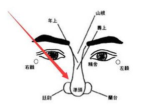 子逸风水 一见财官,发福无限 