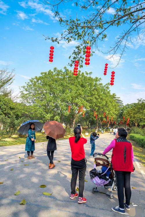 为什么有一部分外来人员嫌弃厦门，说厦门工资低，却又舍不得离开