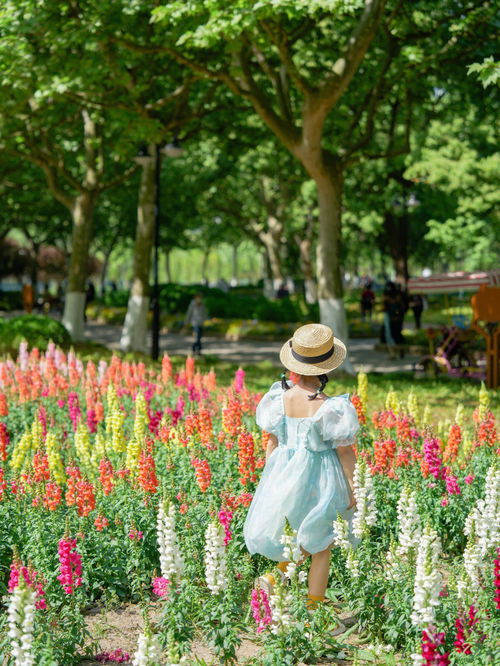 五一假期赏花坠入蓝紫色梦幻海洋的浪漫 