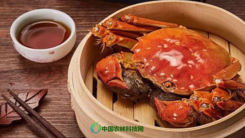 国际慢城桠溪镇 一县一品,南京高淳特色农产品固城湖螃蟹