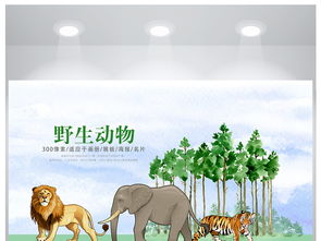 卡通森林动物主题保护野生动物海报设计图片素材 高清psd模板下载 27.77MB 其他海报大全 