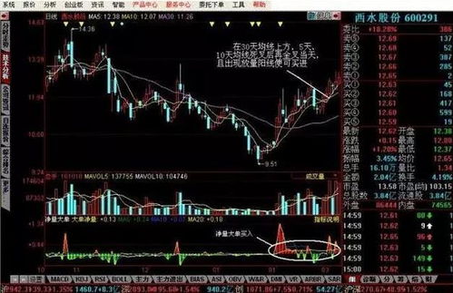 我对前一天买进的一支股票在第二天一天内操作了3次买、卖、买、第四次卖的时候却显示可买0手，为何