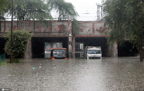 开启 看海 模式印度新德里暴雨街道遭水淹