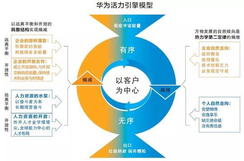 五张图片初探任正非提出的熵 熵增 熵减概念和华为的活力之源