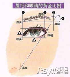 眉毛是五官之首 风水运势就靠它