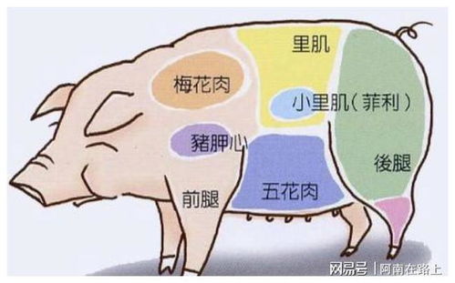 买猪肉时,聪明人专挑这4个部位,不仅肉质好,口感也不错