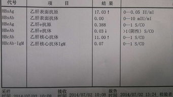 乙肝治疗双达标指什么,怎样理解,大三阳比小三阳严重