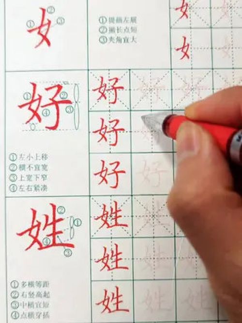 视频同款字帖在左侧小黄车有售 创作灵感 硬笔书法 练字 