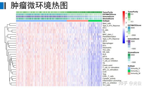 ssGSEA和gsva的区别(ssgsea和gsva的区别)