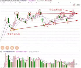 请大神编写一个公式 昨天涨停板包含一字板的 所有涨停选股！