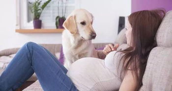 为什么说怀孕养狗的利 弊 