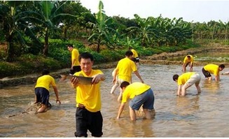 这里有深圳 醉美 的野炊圣地,周末野外做饭约起来 