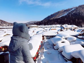 自驾游 哈尔滨 雪乡