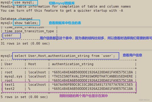 mysql用户信息存在哪个数据库(django框架默认使用哪个数据库)