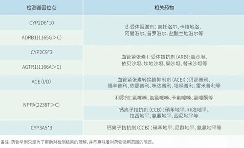 高血压个体化用药基因检测市场前景如何？