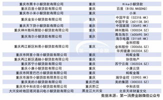 164张网络小贷牌照全名单 