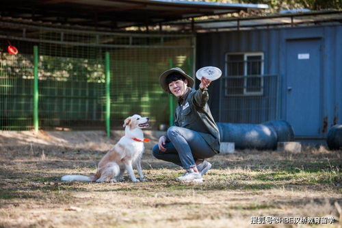 宠物相关专业丨韩国中部大学宠物动物资源学创造人与动物和谐共存