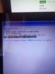 安装win10让手动选择efi